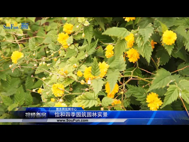 潍坊怡和四季园筑园林实景介绍