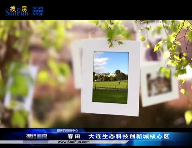 大连机场商务区未来经济总量_大连机场图片(2)